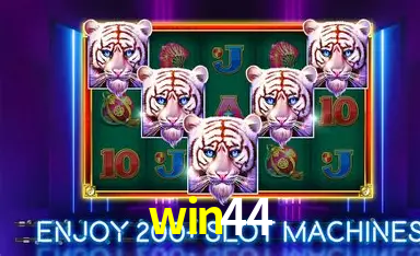 Descubra o Mundo do Cassino Online com win44